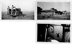 Small pictures 19.jpg